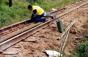 Renouvellement de rails vers Pruniers